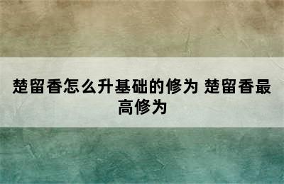 楚留香怎么升基础的修为 楚留香最高修为